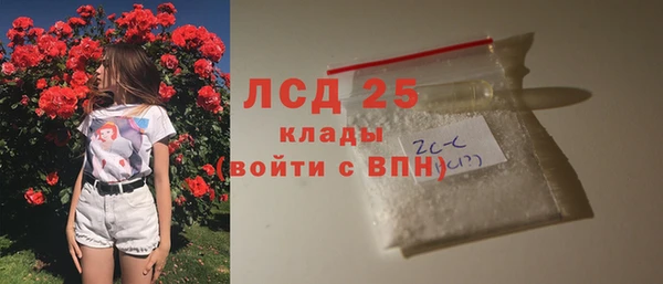 гидра Алексин