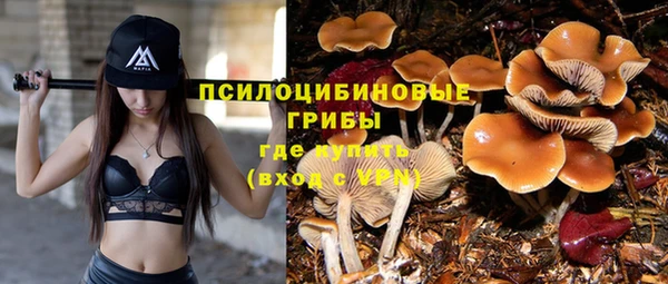 прущие крисы Алексеевка
