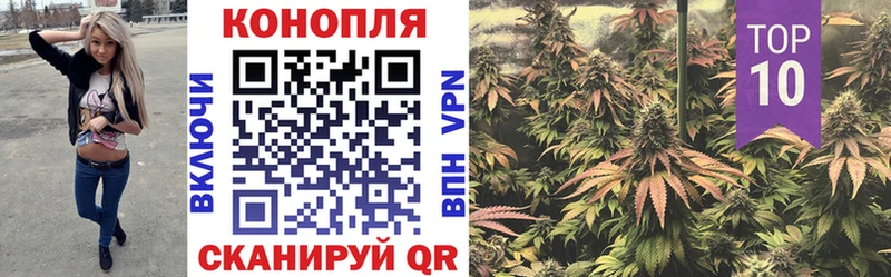 Канабис план blacksprut вход Железноводск